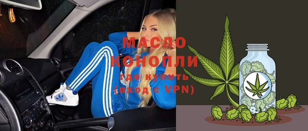 хмурый Сосновый Бор