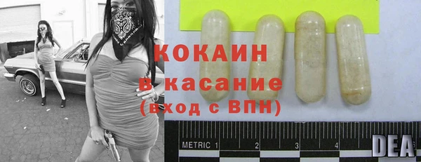 хмурый Сосновый Бор