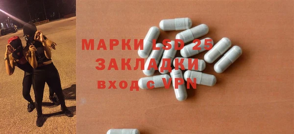 хмурый Сосновый Бор