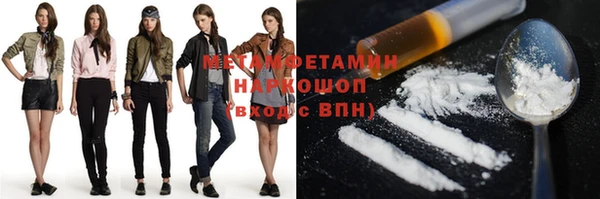хмурый Сосновый Бор