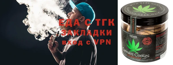 хмурый Сосновый Бор