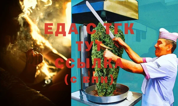 хмурый Сосновый Бор