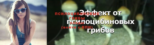 марки lsd Сосновоборск