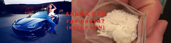 хмурый Сосновый Бор