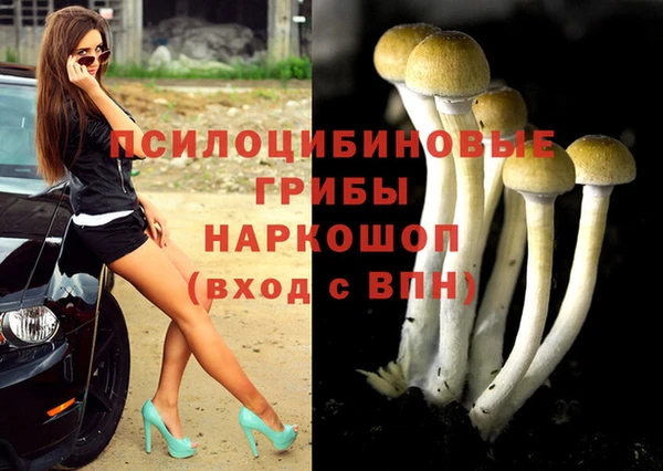 хмурый Сосновый Бор