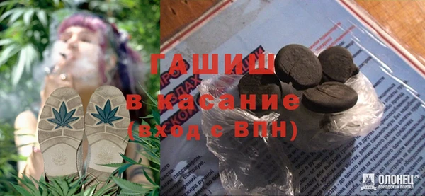 хмурый Сосновый Бор
