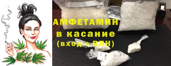 хмурый Сосновый Бор