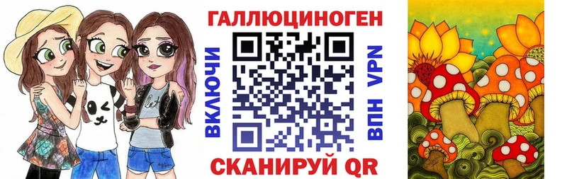 мега ссылка  Будённовск  Псилоцибиновые грибы мицелий 